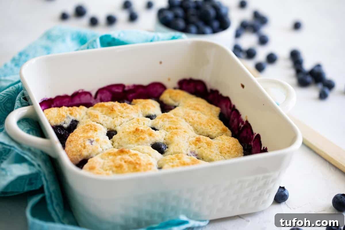 This Blueberry Cobbler is the perfect way to celebrate National Blueberry Month! Fresh blueberries are topped with an easy biscuit mixture for a fast, delicious, seasonal recipe. Easy Blueberry Cobbler Recipe