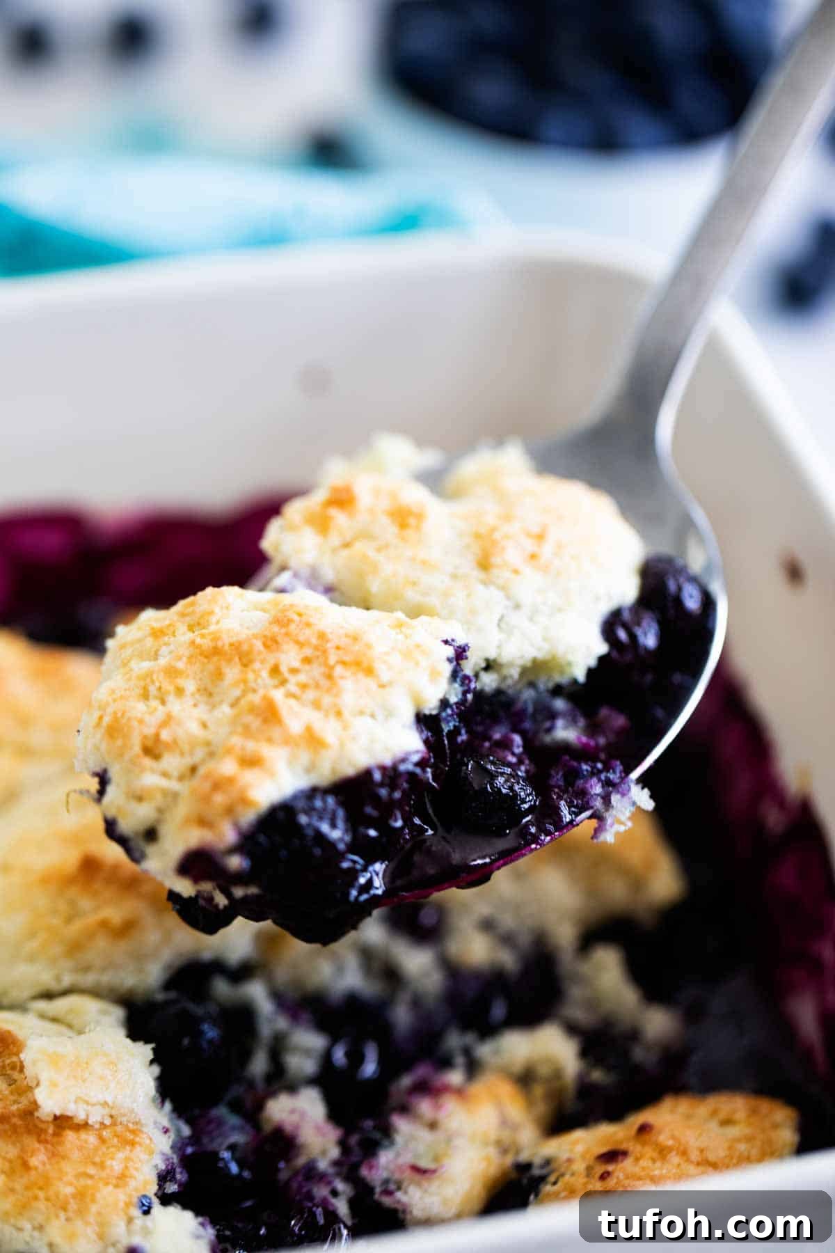 This Blueberry Cobbler is the perfect way to celebrate National Blueberry Month! Fresh blueberries are topped with an easy biscuit mixture for a fast, delicious, seasonal recipe. Blueberry Cobbler Recipe