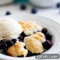 Perfect Blueberry Cobbler Recipe for Tender Berries & Crisp Topping 2 Fresh Blueberry Cobbler