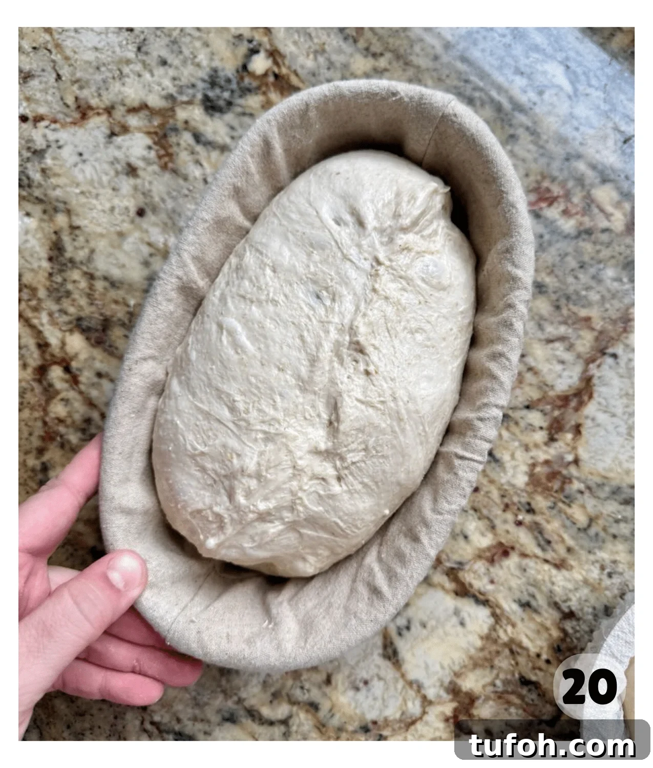 Asiago Sourdough Bagel Loaf Recipe: Chewy Crust, Tangy Interior 8 Proofed sourdough loaf resting seam-side up in a cloth-lined banneton.