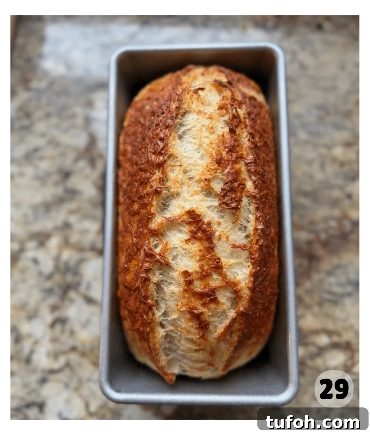 Asiago Sourdough Bagel Loaf Recipe: Chewy Crust, Tangy Interior 10 Asiago bagel bread baking in the oven with a deeply browned, cheesy crust.