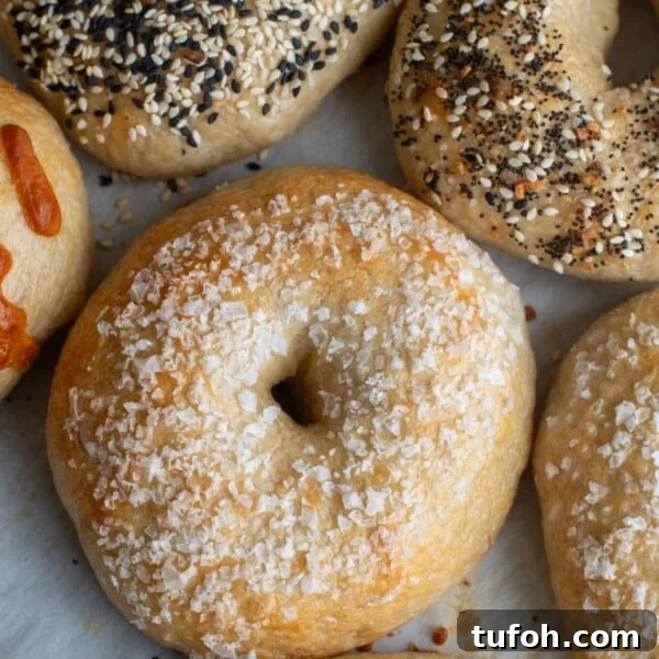 Asiago Sourdough Bagel Loaf Recipe: Chewy Crust, Tangy Interior 13 Easy homemade sourdough bagels on parchment paper.
