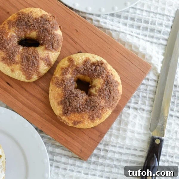 Asiago Sourdough Bagel Loaf Recipe: Chewy Crust, Tangy Interior 14 Cinnamon crunch sourdough bagels.