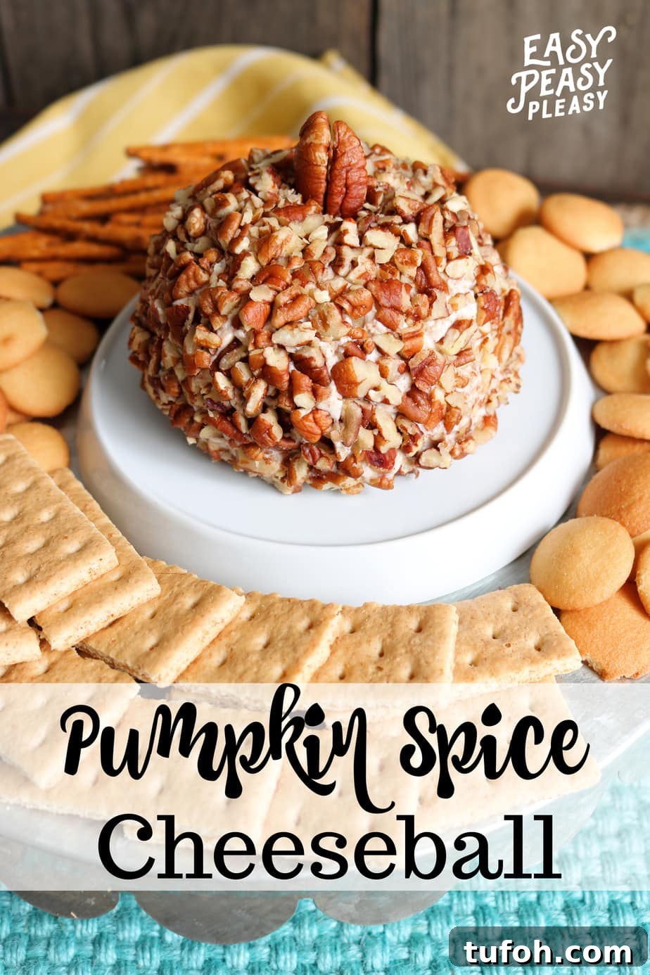 Pumpkin Spice Cheese Ball is the perfect appetizer for the Holidays.