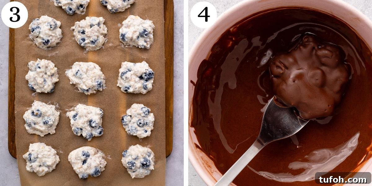 Chocolate-Dipped Blueberry Cottage Cheese Clusters for Snacks 6 Savory Chocolate Dipped Blueberry Cottage Cheese Clusters