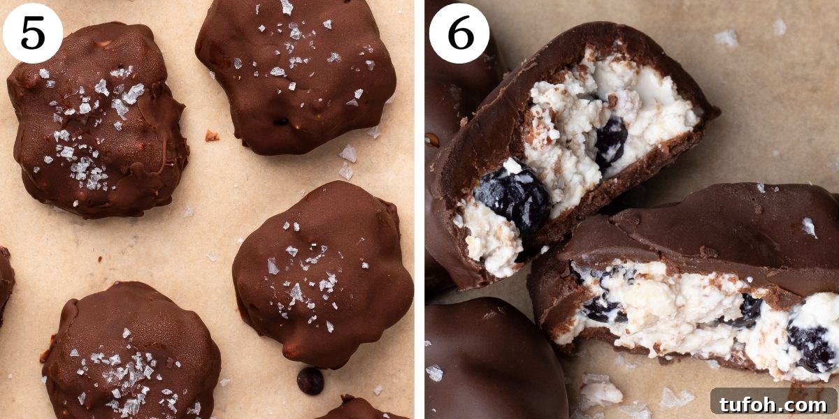 Chocolate-Dipped Blueberry Cottage Cheese Clusters for Snacks 7 Mouthwatering Chocolate Dipped Blueberry Cottage Cheese Clusters