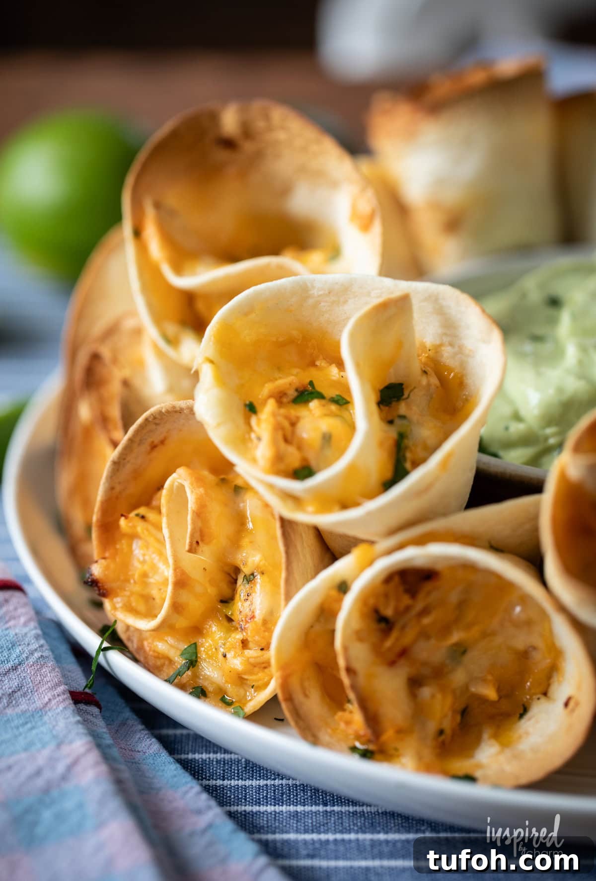 Cheesy Quesadilla Dipper Recipe: Crispy, Gooey Snack Idea 10 Cheesy Quesadilla Dippers on a plate.