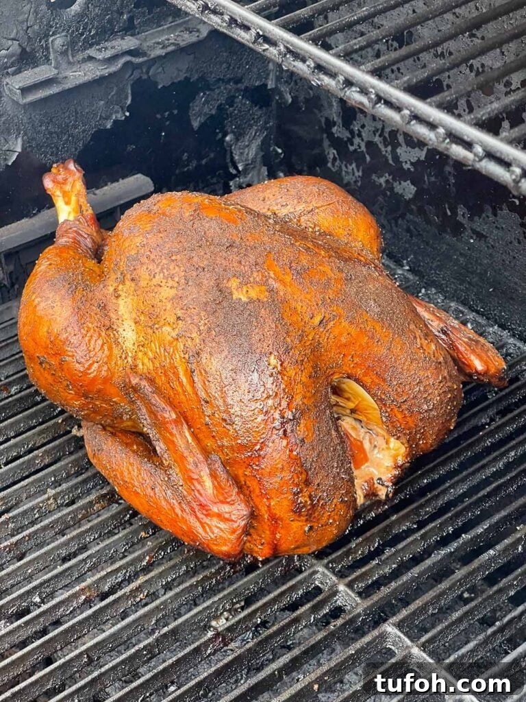 Perfect Whole Smoked Turkey: Year-Round Smoking Guide 10 A whole smoked turkey on a smoker.