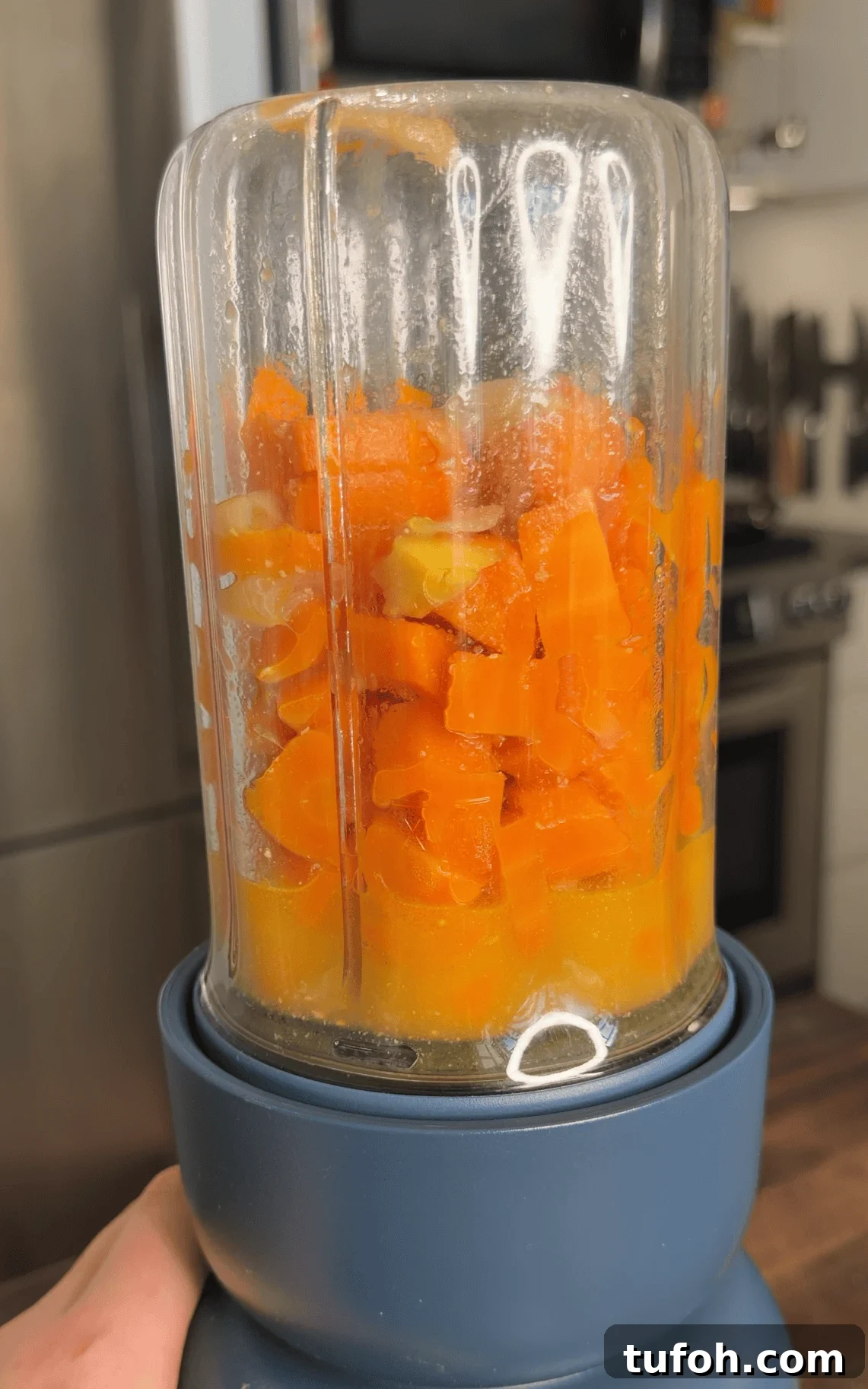 Ginger and Carrot Puree Recipe for Baby Food and Side Dishes 3 img 6264 2