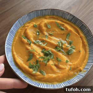 Ginger and Carrot Puree Recipe for Baby Food and Side Dishes 5 img 6264 4