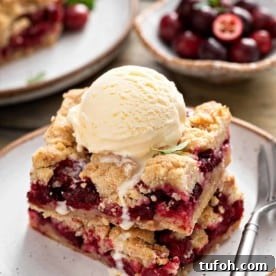 Two cranberry crumb bars stacked on a plate and topped with a scoop of vanilla ice cream