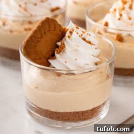 Close up of no-bake biscoff cheesecake in a glass ramekin.