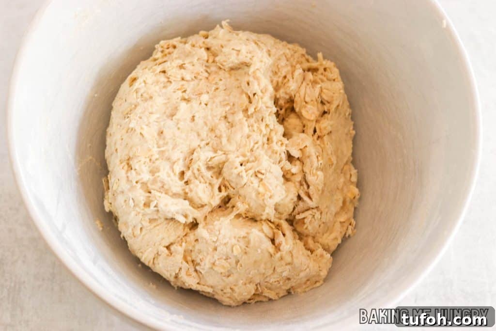 Homemade Oat Bread Recipe: Soft, Nutty Loaf You Can Bake at Home 7 dough in bowl
