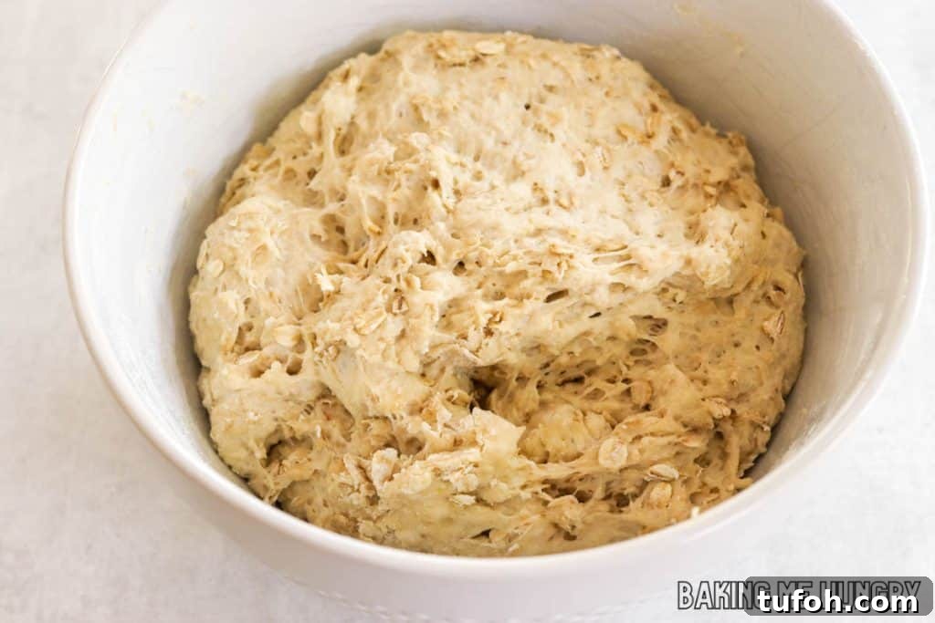 Homemade Oat Bread Recipe: Soft, Nutty Loaf You Can Bake at Home 8 risen dough in bowl