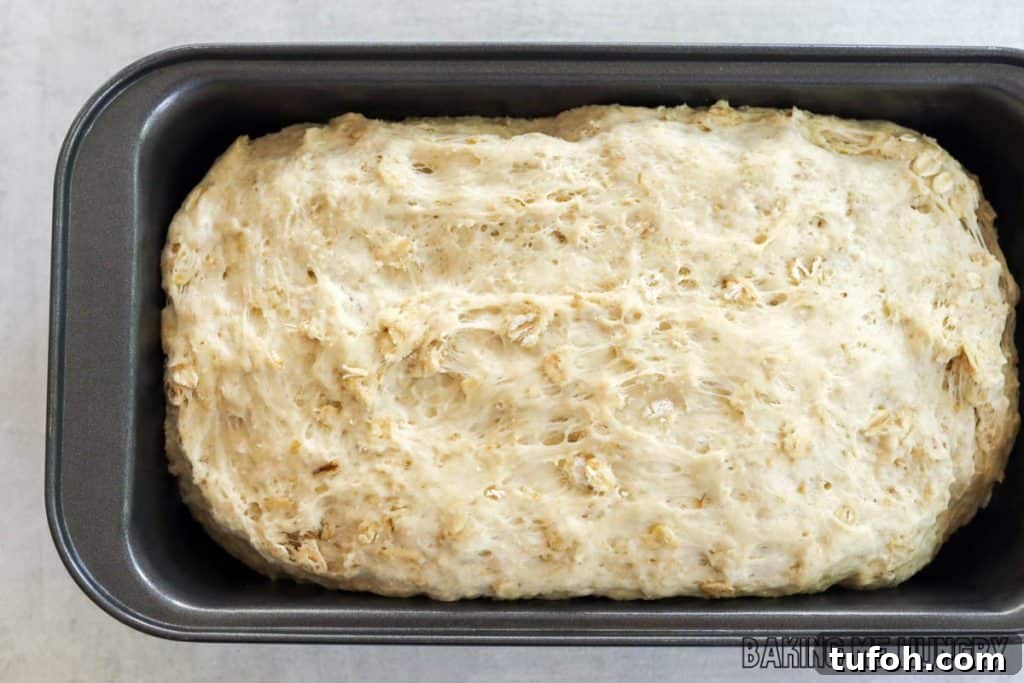 Homemade Oat Bread Recipe: Soft, Nutty Loaf You Can Bake at Home 9 dough in pan