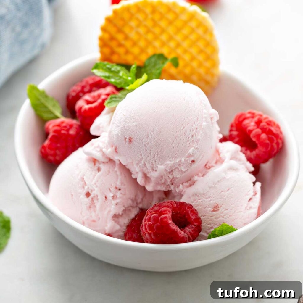 raspberry ice cream scoops in a white bowl garnished with fresh raspberries