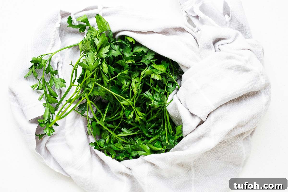 Oven-Dried Parsley: A Simple Guide for Long-Lasting Flavor 5 Washed parsley being dried in a light grey kitchen towel viewed from above.