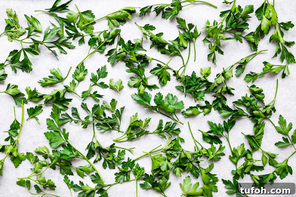 Oven-Dried Parsley: A Simple Guide for Long-Lasting Flavor 6 Fresh parsley leaves and stems on parchment paper viewed from above.