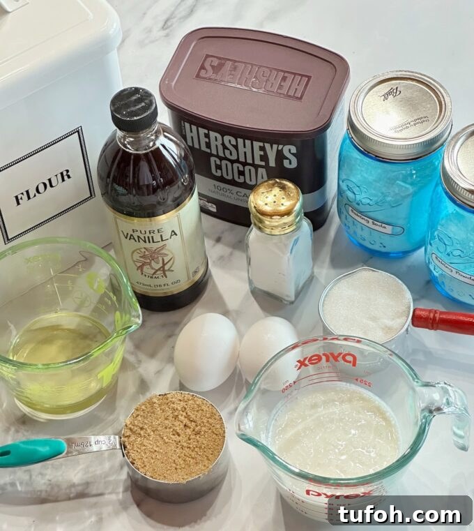 Ingredients for chocolate cupcakes.