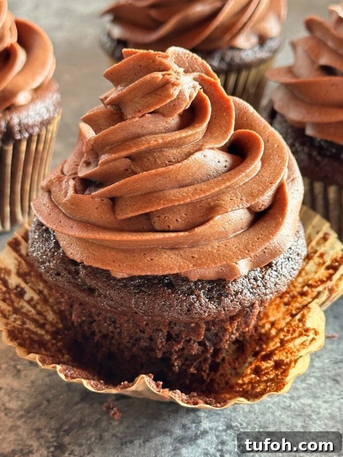 Chocolate cupcakes frosted with chocolate buttercream.