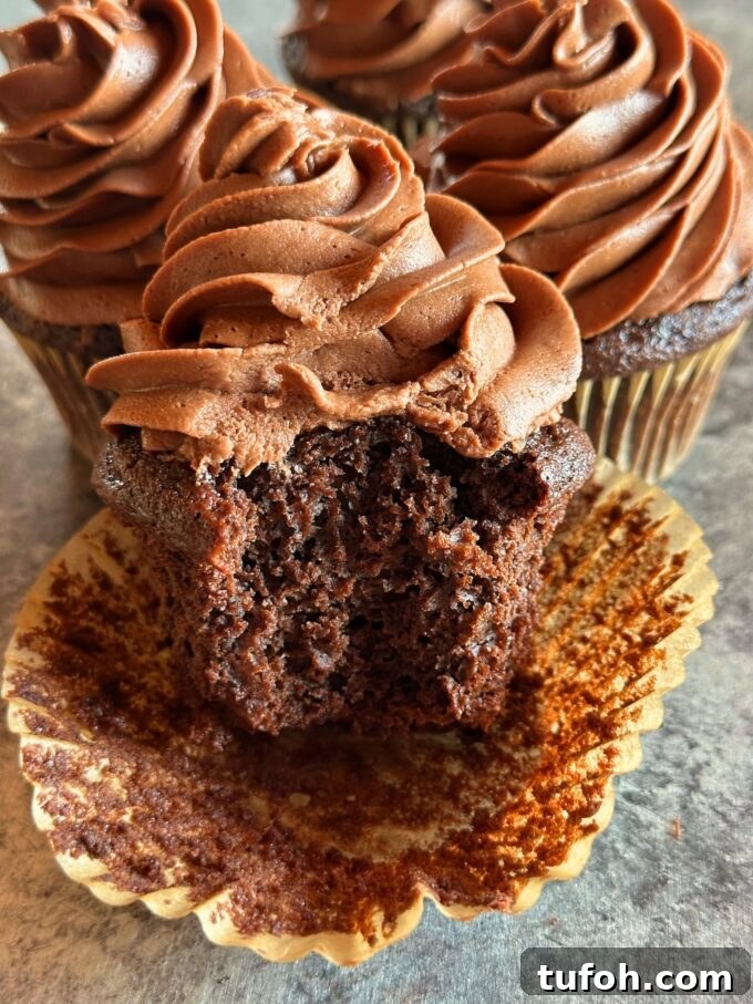 Tray of frosted chocolate cupcakes.