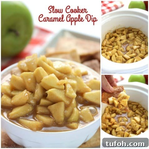 Slow Cooker Caramel Apple Dip Recipe for Cozy Gatherings 8 Cinnamon chips and caramel apple dip
