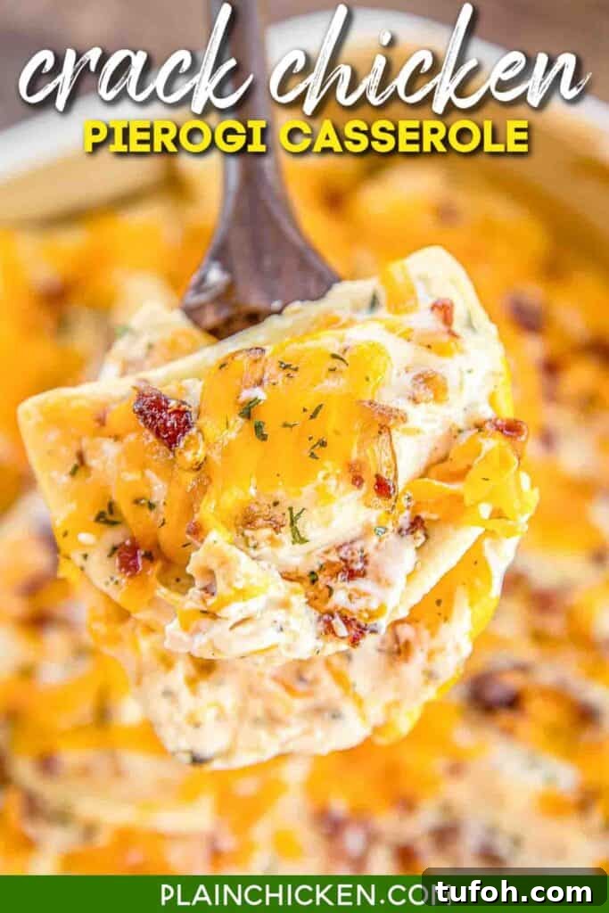 spoonful of crack chicken pierogies