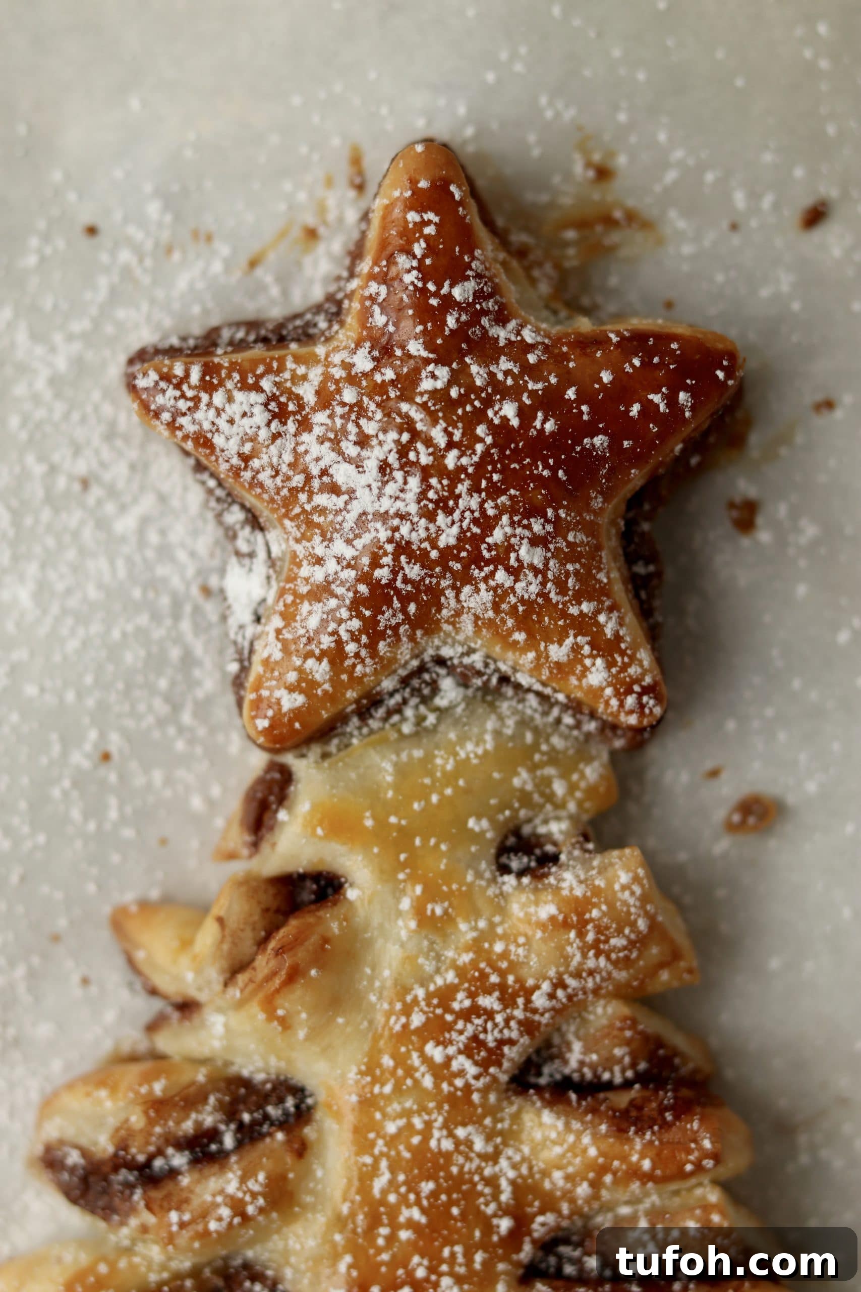 close up of powdered sugar dusted tree