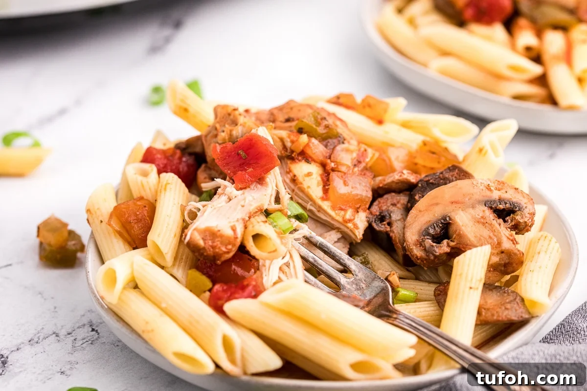 Plate of penne pasta and chicken cacciatore.