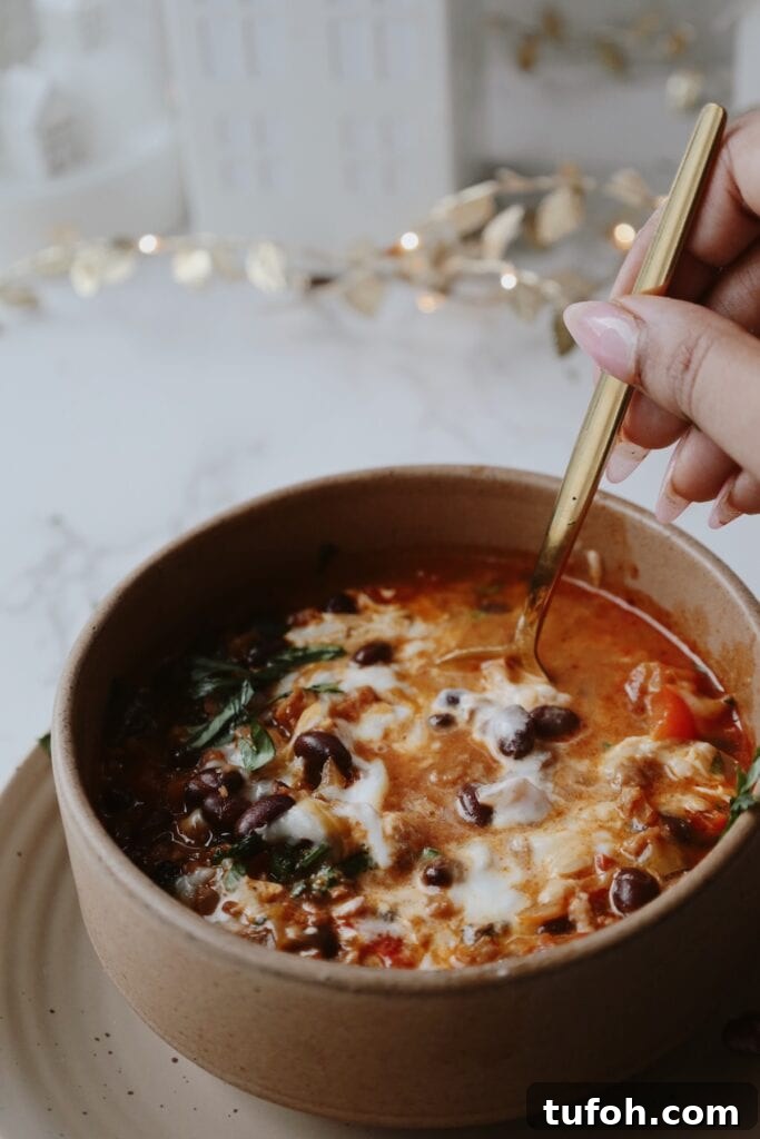 High-Protein Vegetarian Black Bean Soup Recipe 6 black bean soup