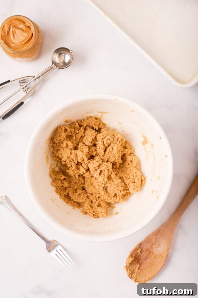 Chewy Peanut Butter Cookies Recipe with Crispy Edges 11 Mixed peanut butter cookie dough after combining dry ingredients, thick and soft, ready for shaping.