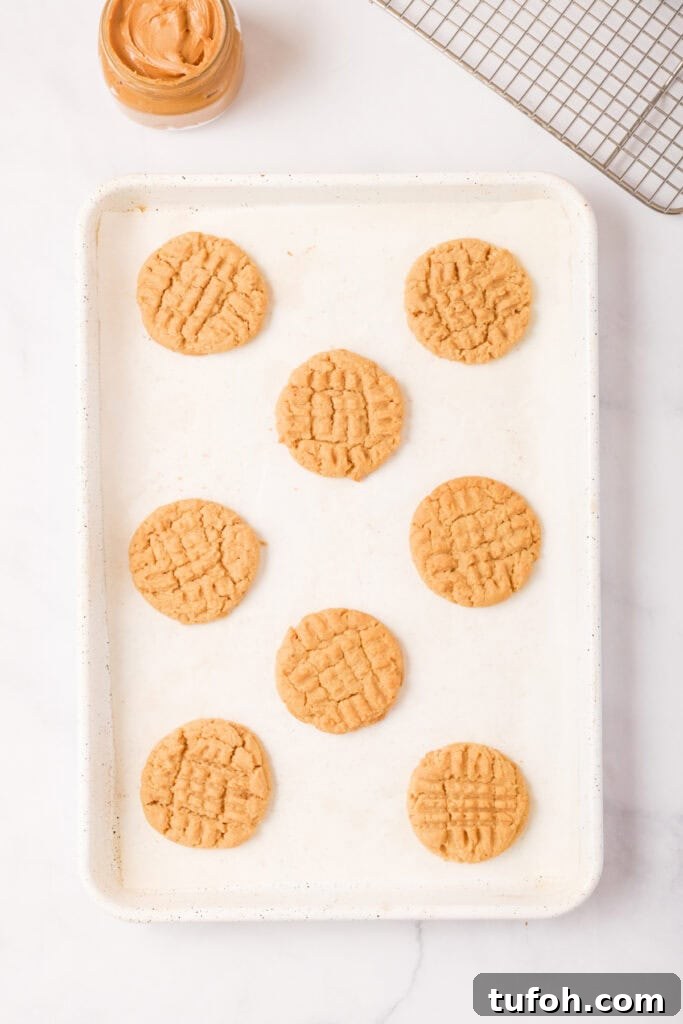 Chewy Peanut Butter Cookies Recipe with Crispy Edges 15 Freshly baked peanut butter cookies on a baking sheet, golden brown with crisscross tops, cooling beside a jar of peanut butter.