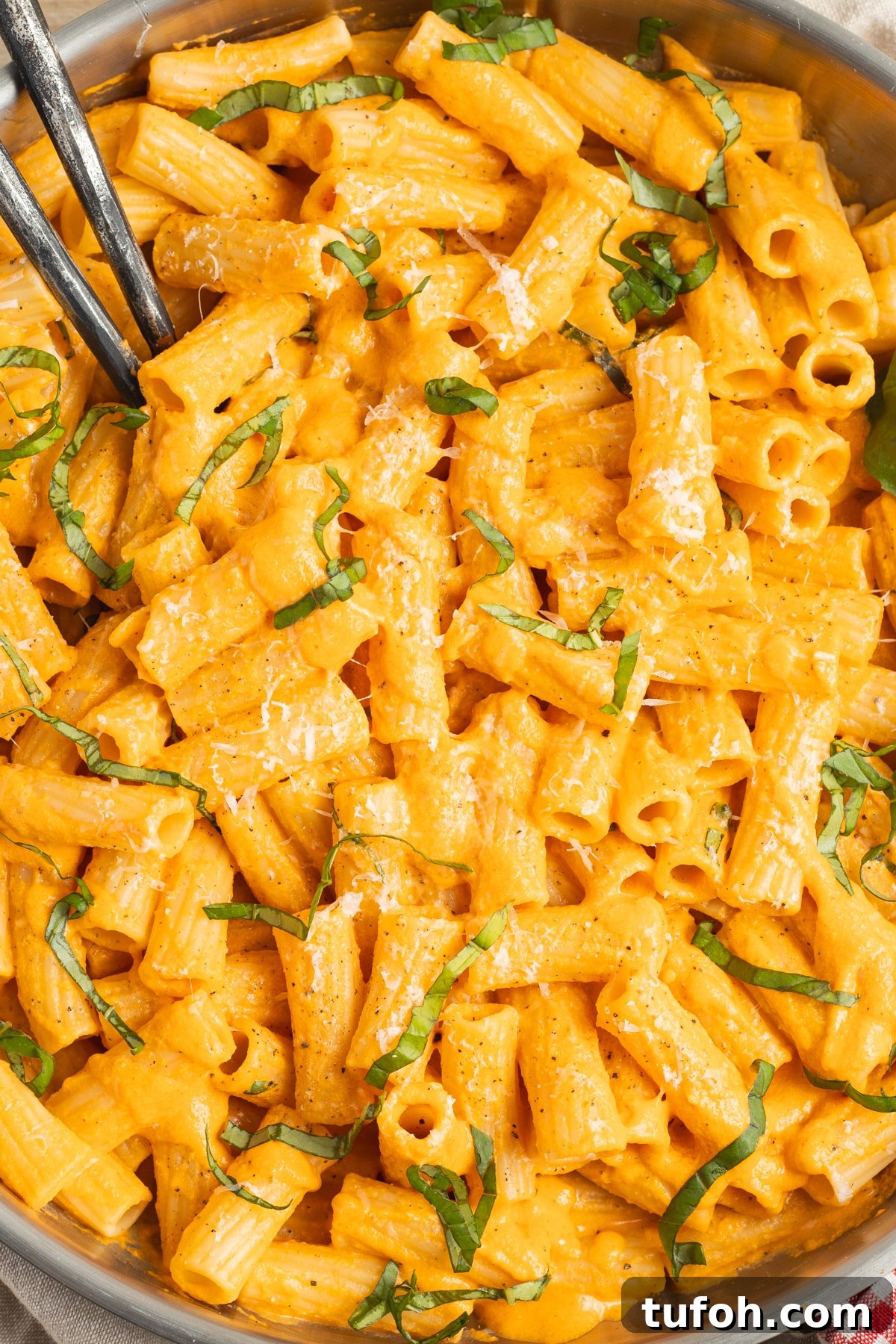 Creamy Tomato and Cottage Cheese Pasta Sauce Recipe 12 This is a close-up picture of a skillet of pasta with cottage cheese tomato sauce.