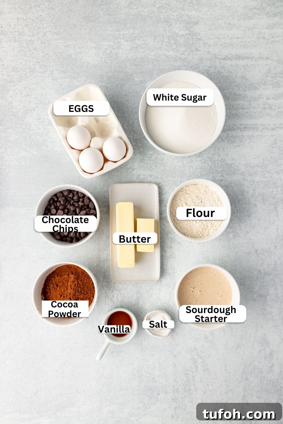 Top-down view of baking ingredients including eggs, sugar, flour, butter, chocolate chips, cocoa powder, vanilla, sourdough starter, and salt.