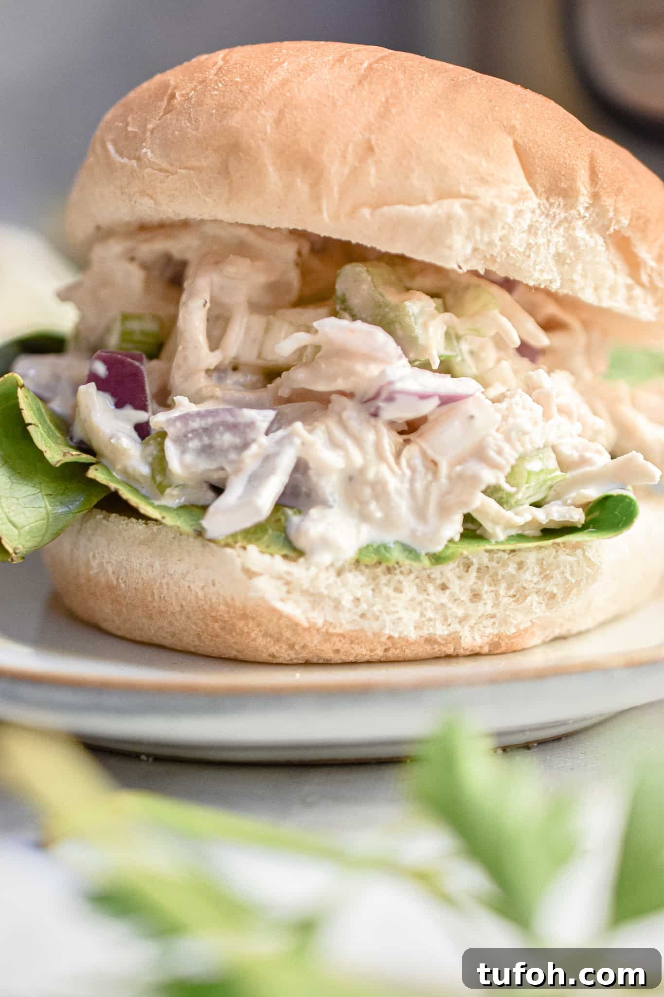 Instant Pot Chicken Salad Recipe for Quick Weeknight Meals 2 A close up of the Instant Pot chicken salad.