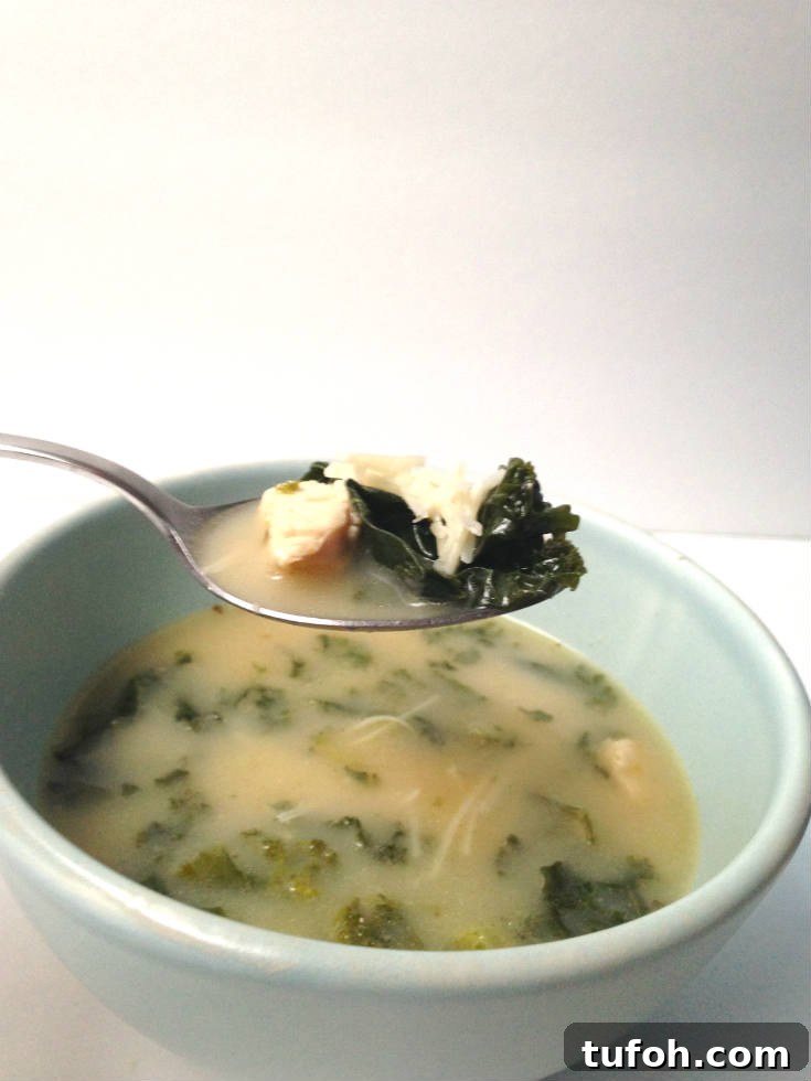 10-Minute Chicken Caesar Soup Recipe for Quick Weeknight Meals 7 Soup spoon