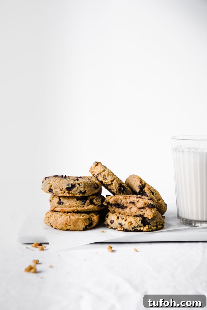 keto pumpkin chocolate chip cookies with milk on white background