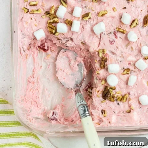 Overhead view of creamy pink salad with marshmallows on top.