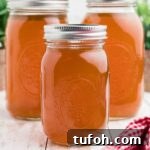 Savory Rotisserie Chicken Bone Broth Recipe for Rich Flavor 7 3 jars of Rotisserie Chicken Bone Broth, the image cropped square.