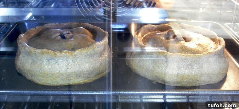 Venyson Y-Bake In The Oven
