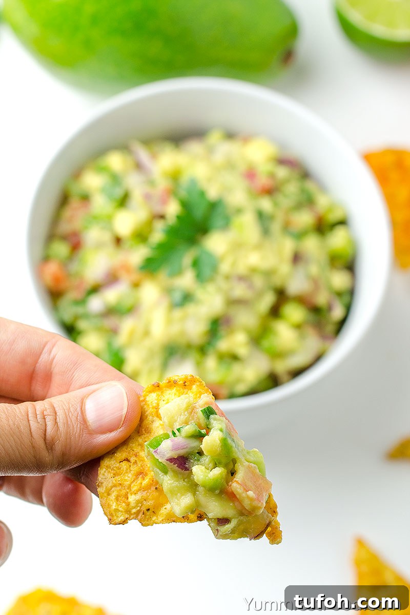 Guacamole Dip