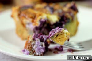 Blueberry Cheesecake Bread Pudding (THM S, Low Carb, Sugar Free)