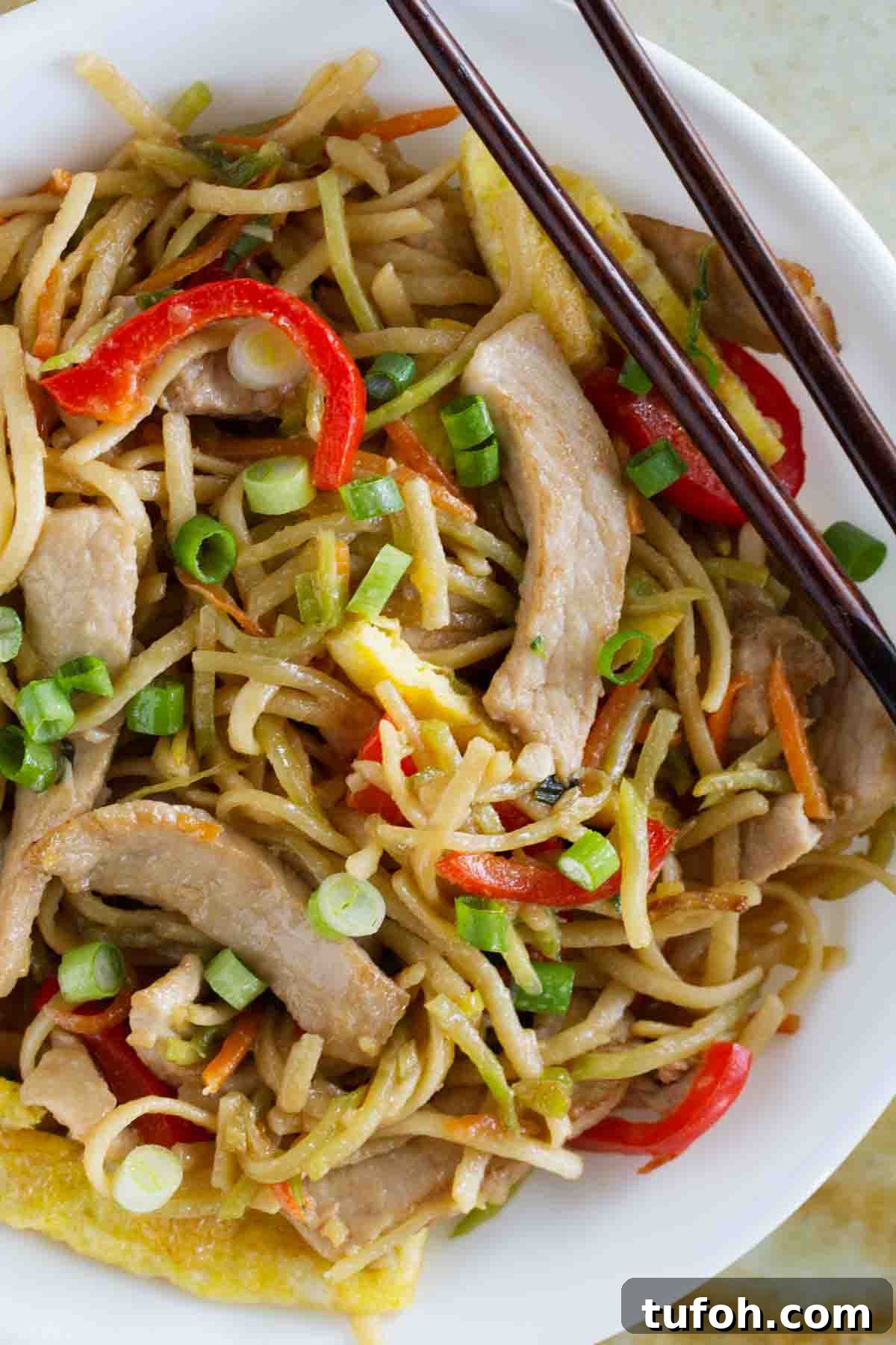 close up of lo mein with egg and pork and vegetables
