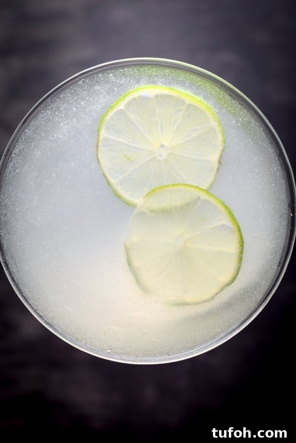 Overhead view of the gimlet with two thin lime wheels floating in it