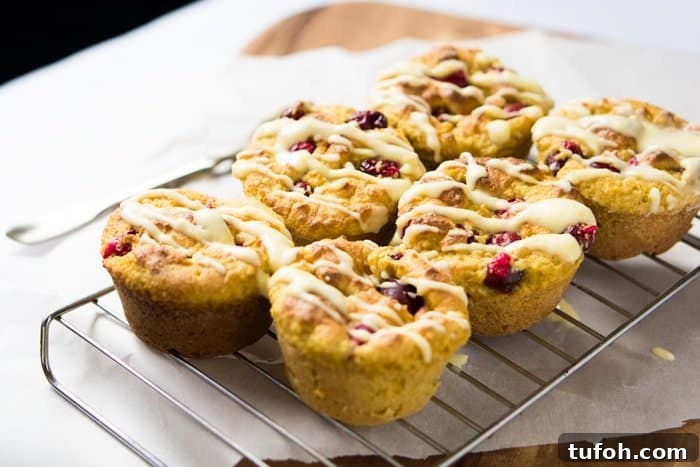 Gluten Free & Keto Cranberry Orange Muffins 🍊 Suuuper Tender & Moist #ketomuffins #lowcarbmuffins