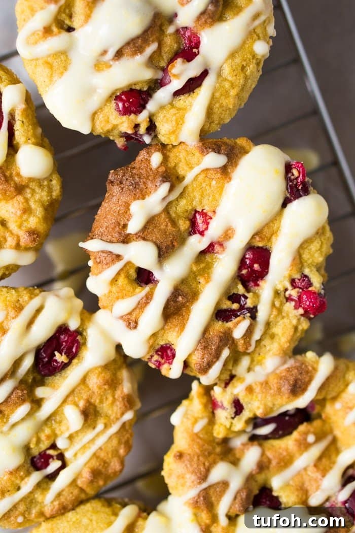 Gluten Free & Keto Cranberry Orange Muffins 🍊 Suuuper Tender & Moist #ketomuffins #lowcarbmuffins