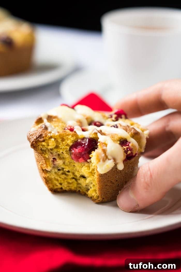 Gluten Free & Keto Cranberry Orange Muffins 🍊 Suuuper Tender & Moist #ketomuffins #lowcarbmuffins