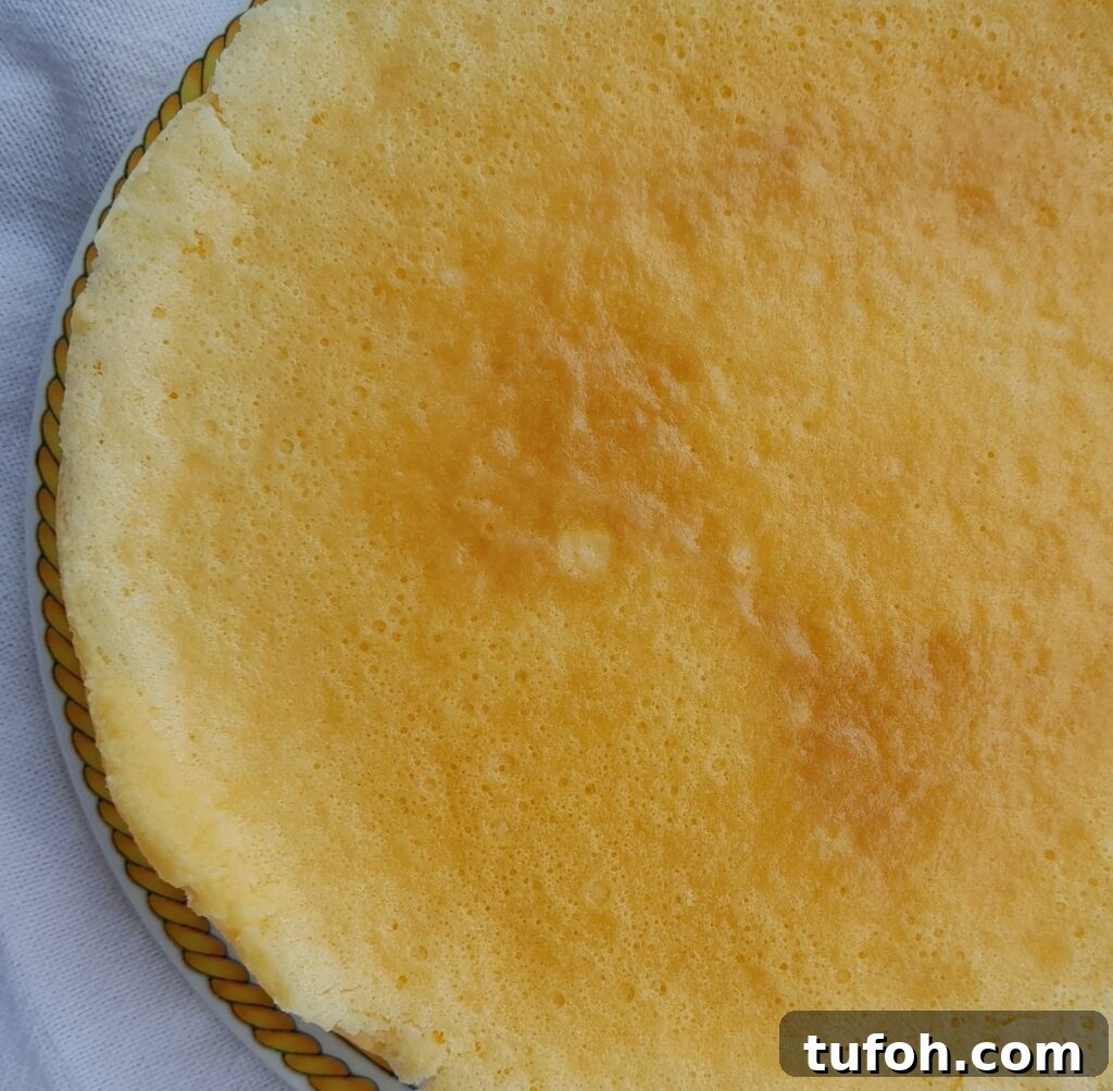 three ingredient cheesecake (easiest mascarpone cheesecake)