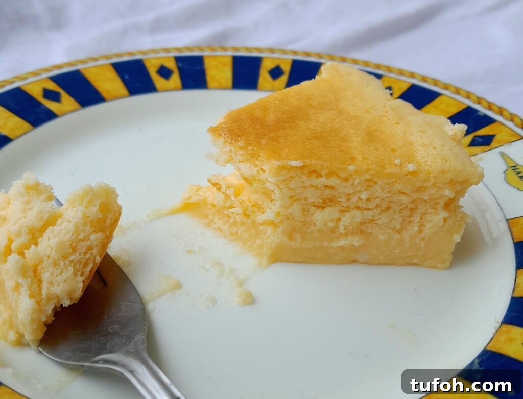 three ingredient cheesecake (easiest mascarpone cheesecake)